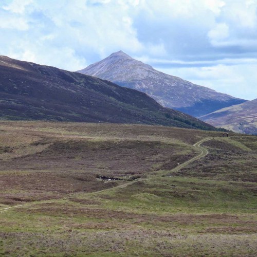 Are you a munro-bagger.  He is a list of munros in the area