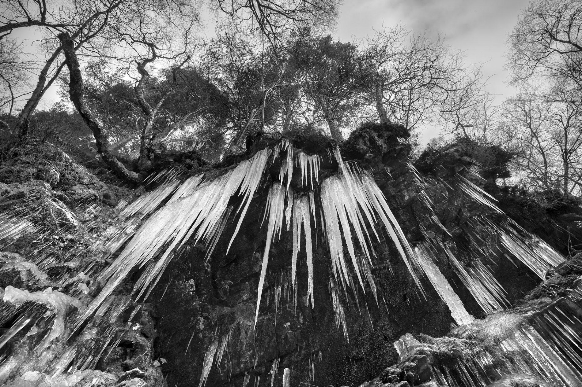 Shed Gallery - Ian Biggs - Photographer - Icicles